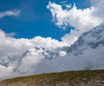 ������-2020. ������ "� ������"