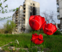 �������� "������" - ����������� � ���������