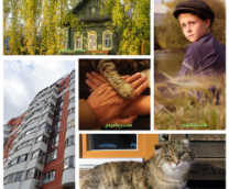 ������ �����