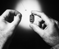 ������� XX ���� � �����-����� ����������