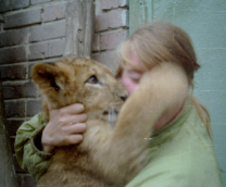 ��� ����� � ��������� �������