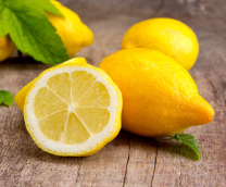 ������ �����