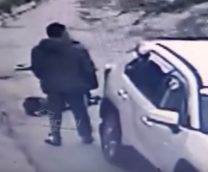 ������ ������ ������