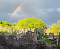 ������ �����, ������������� 2022