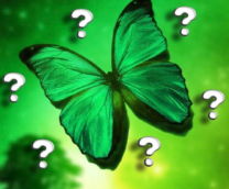 ��������� �� ������