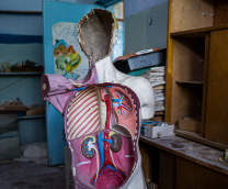 ������� ���������