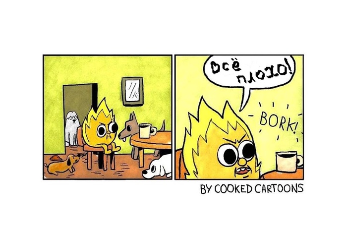    ,  , , 