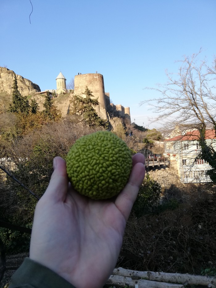 What kind of fruit? - My, Фрукты, Tbilisi, Longpost