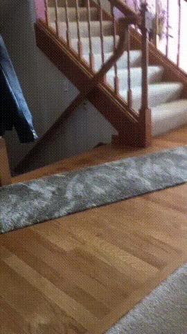 Юююю-хххуууууу!!!