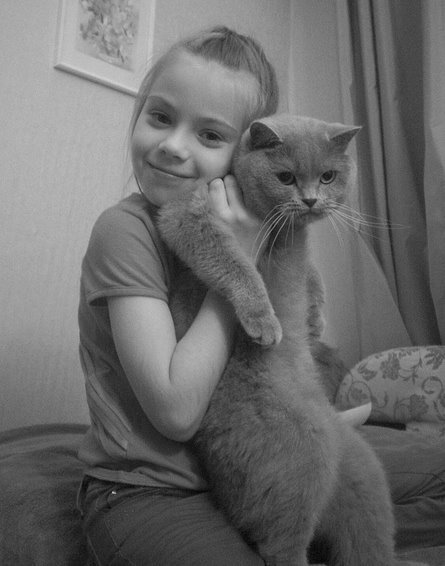 girls with cats - cat, Girl, Longpost