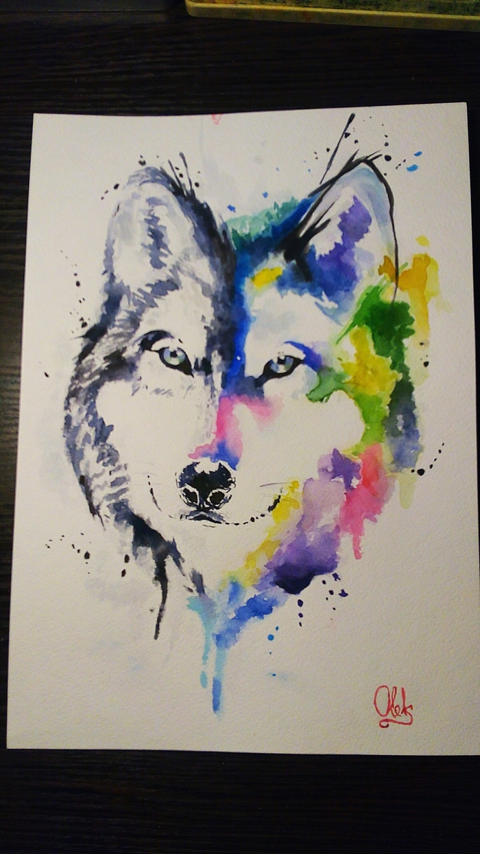 Wolf watercolor drawing - My, Drawing, Wolf, Husky, Sketching