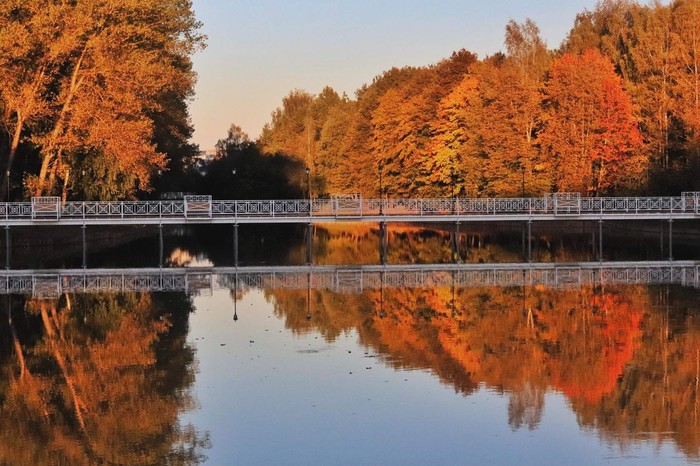 Nightingale grove. Smolensk - My, Smolensk, The photo, Seasons, Autumn, Winter, Bridge, The park