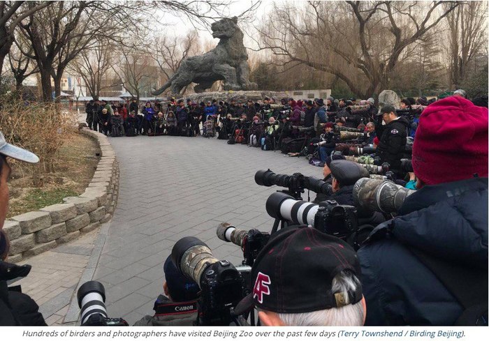 ����� ������� ���������...