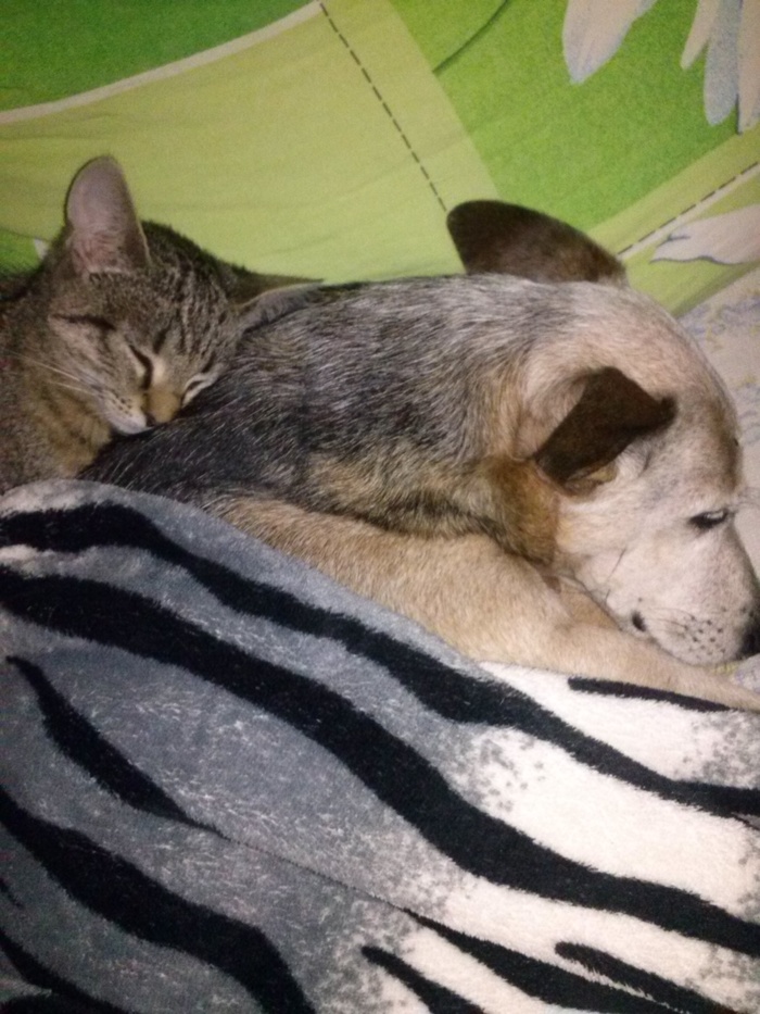 ����� ��� ����� � �������