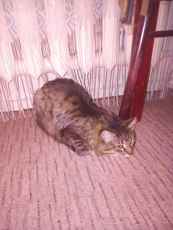 ������, ������� ��!!