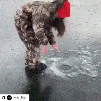 Врешь не уйдешь что значит. 1549086593158953346. Врешь не уйдешь что значит фото. Врешь не уйдешь что значит-1549086593158953346. картинка Врешь не уйдешь что значит. картинка 1549086593158953346. Мне и самой стало интересно, а откуда же взялось это выражение, так как в последнее время довольно часто его слышу.