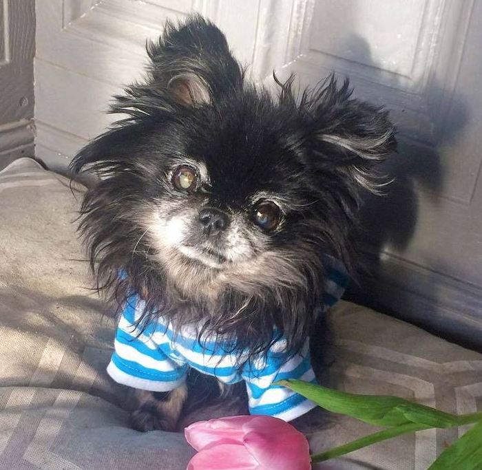 154920004112261131 можно ли зарабатывать в америке а тратить в россии