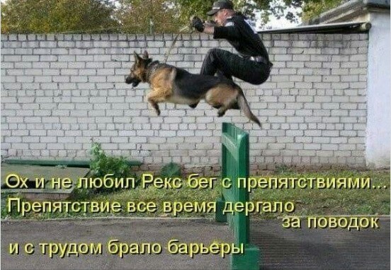 Юмор.. | Пикабу