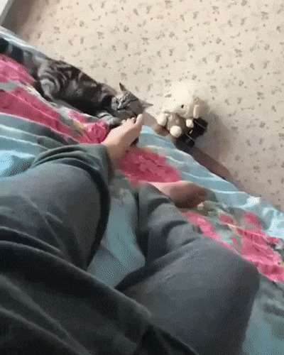 Кусь... фуу.