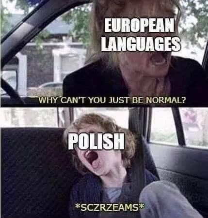 Польский язык