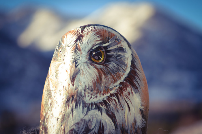 Owl. Stone painting. - My, Stone painting, Owl, Birds, Acrylic, Altai, Painting, Swamp owl, Altai Republic