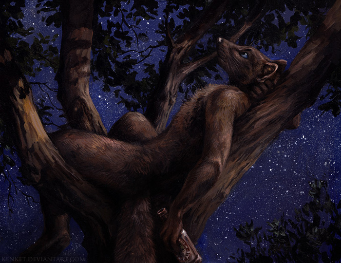 This Moment - Furry, Furry art, Anthro, Starry sky, Kenket