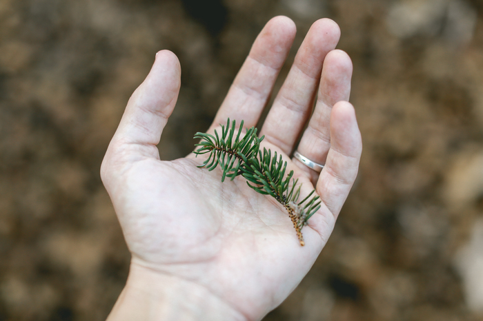 ������ �� ������ ����