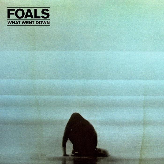  ,   . Foals  What Went Down (2015) Foals, ,  , , , -