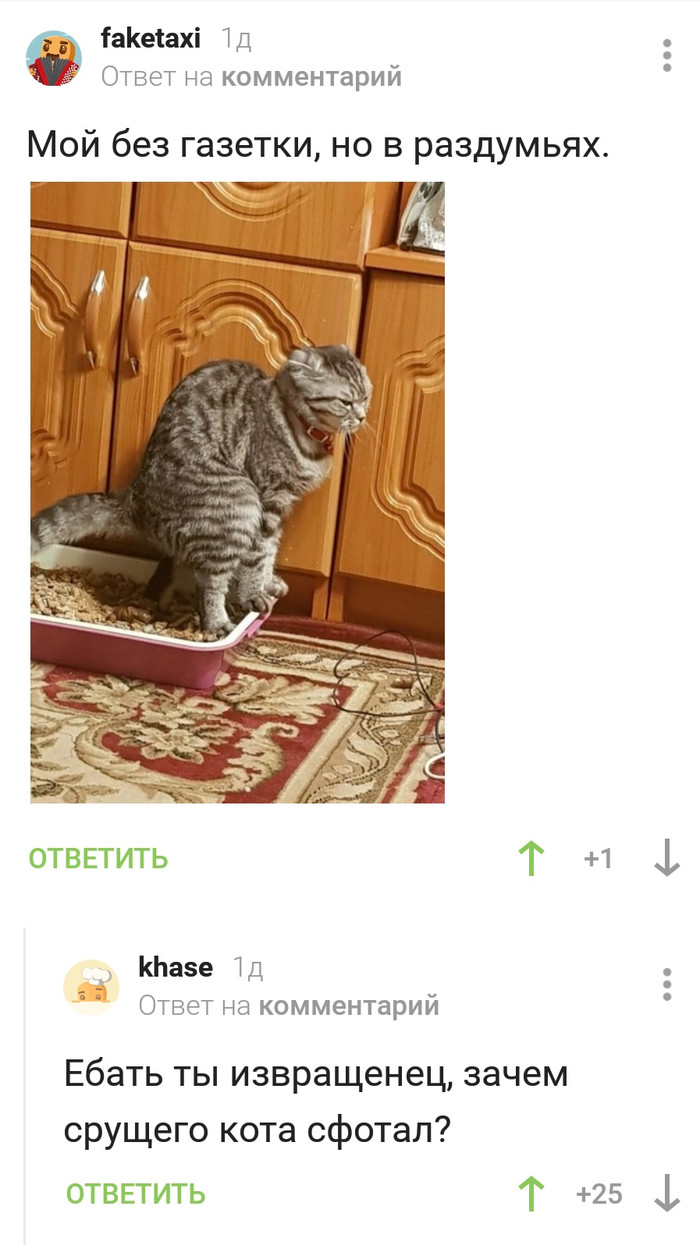 About pooping cats - cat, Master, Comments on Peekaboo, Screenshot
