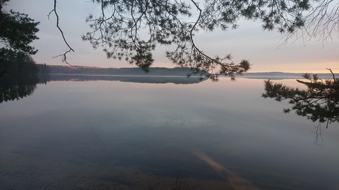 Morning - My, Nature, Lake, Sweden, The photo