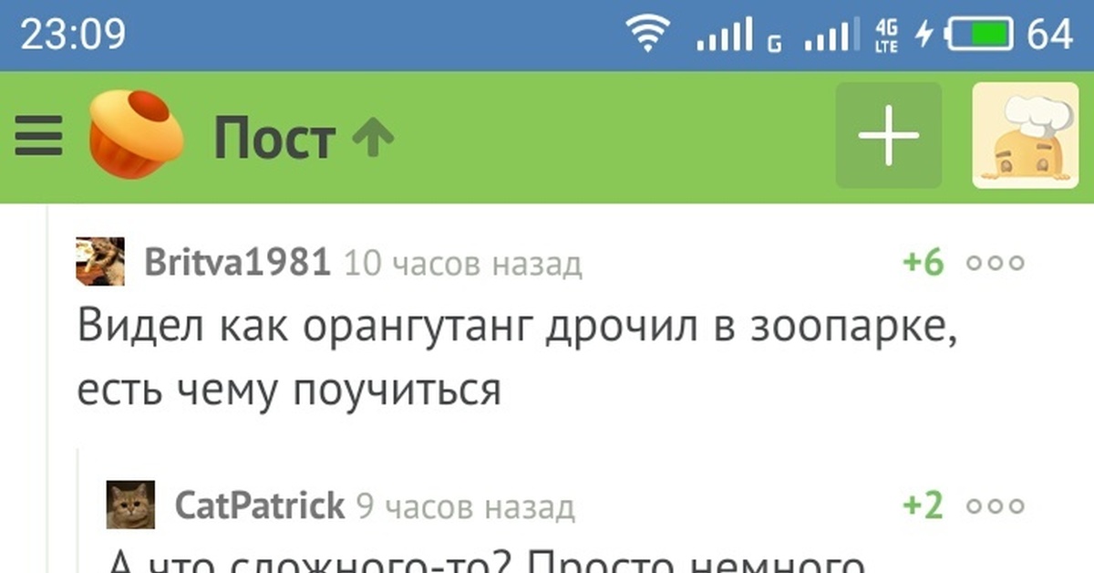 Сексуальные потребности, орангутанг и зоопарк | Пикабу