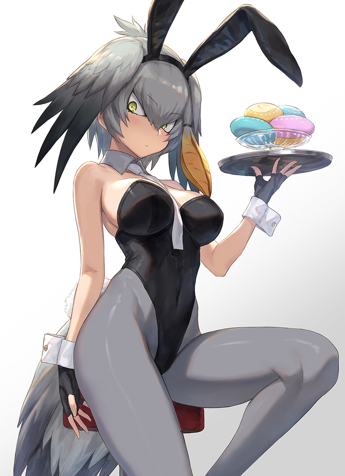 Shoebill - Аниме, Anime Art, Kemono Friends, Shoebill, Bunnysuit