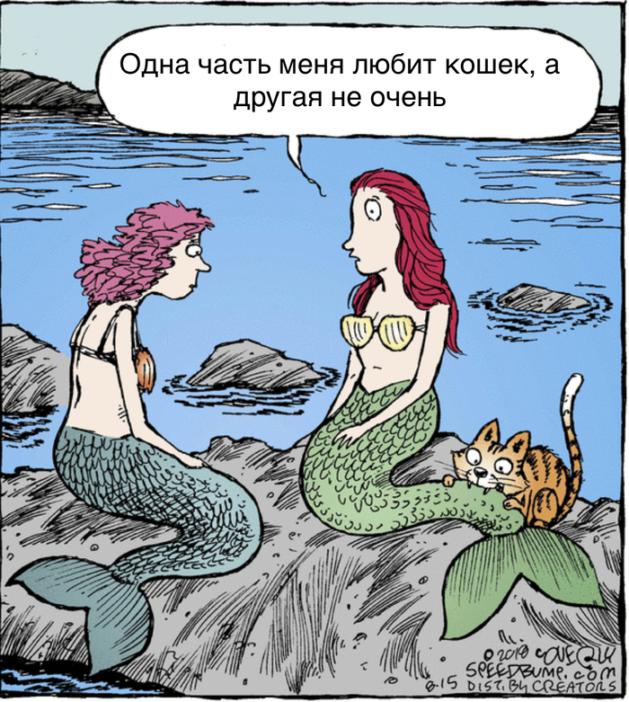 Mermaids and cats - Comics, Translated by myself, Mermaid, cat, Speedbump, Kus