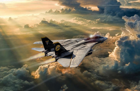 F-14 Tomcat.    . , , F-14, 