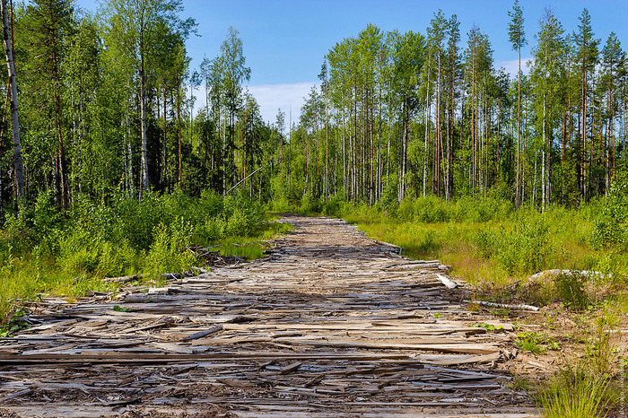 Journey to the White Sea. - My, Travels, Bike trip, The photo, Northern dvina, Arkhangelsk region, Longpost