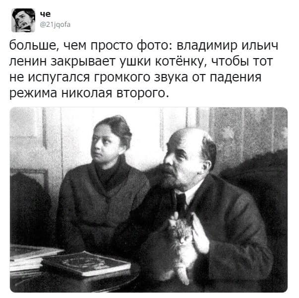 Cats and revolution - My, Survey, Strange humor, Humor, Picture with text, Small cats, GIF, Longpost, Lenin, October Revolution