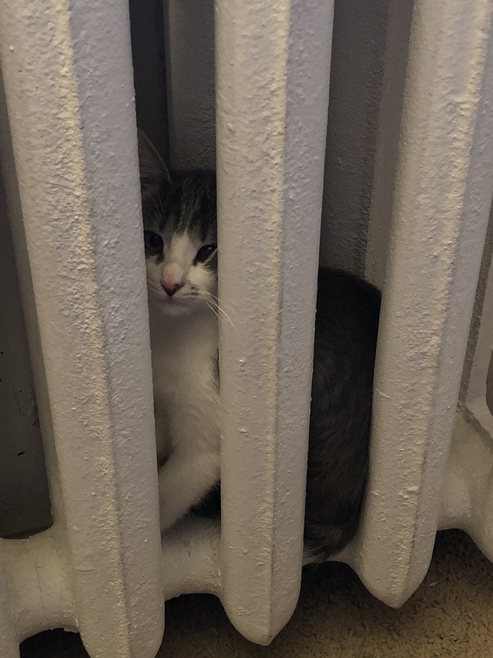 ��� ��������� �� ��, ��� � �� �������� ���� �������.