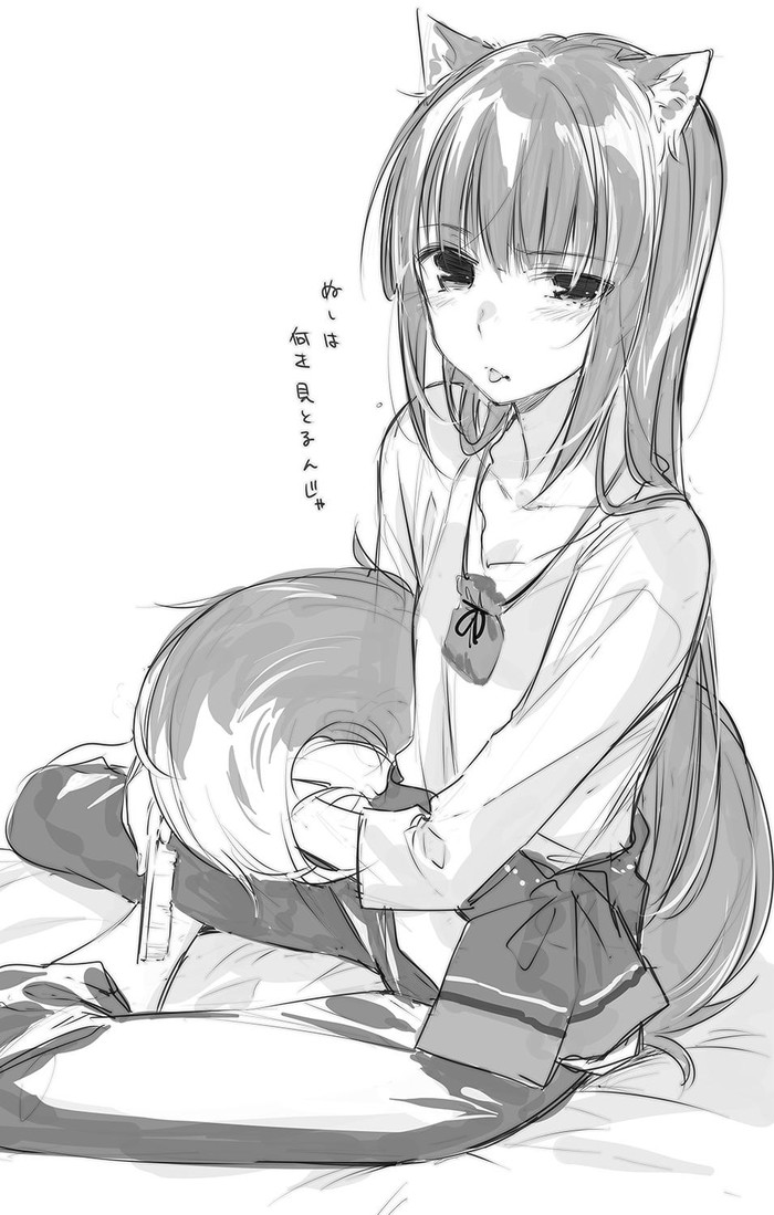        ? Anime Art, , Spice and Wolf, Horo, Holo