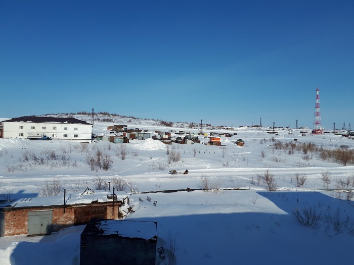 Reindeer team is racing along the railroad! - My, Taimyr, Reindeer, Sled, Dolgans, Railway, Longpost