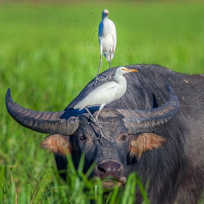 Немного уважения