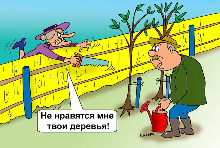 Дачные войны - Часть 1. И не последняя.