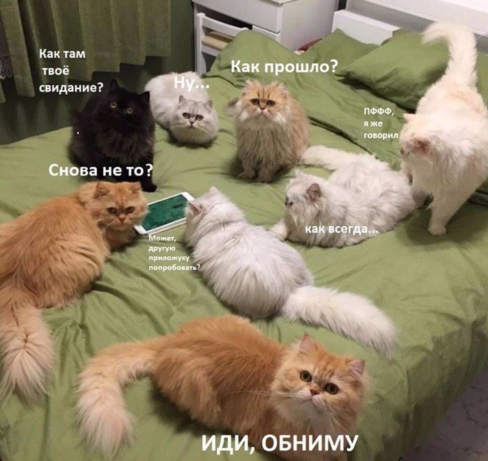 ак там свидание?