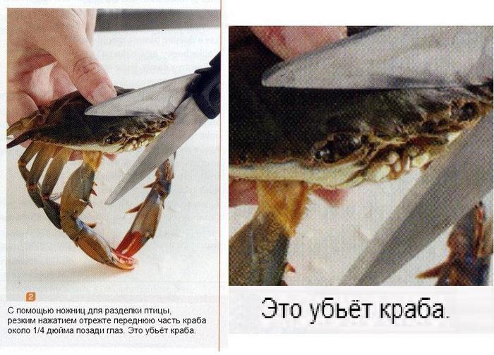 My ancestors smile at me, Imperials. - Crab, Kitchen, Picture with text, Scissors, It's a pity, Recipe, Screenshot, A pity