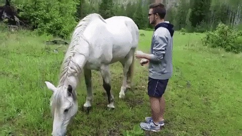 -Дорогая, я не пил!