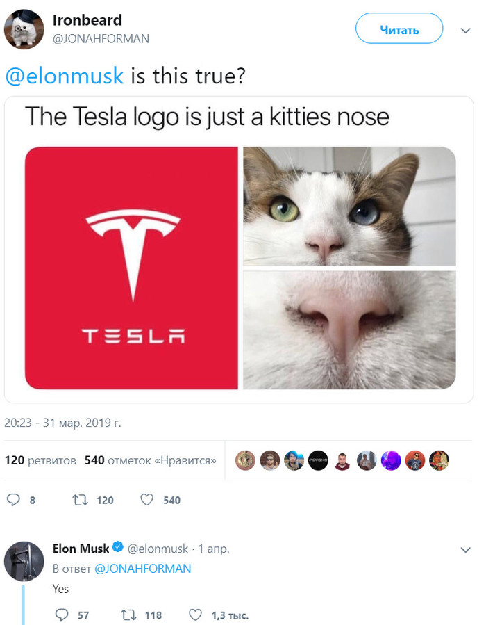  :   -   . , , Tesla,  