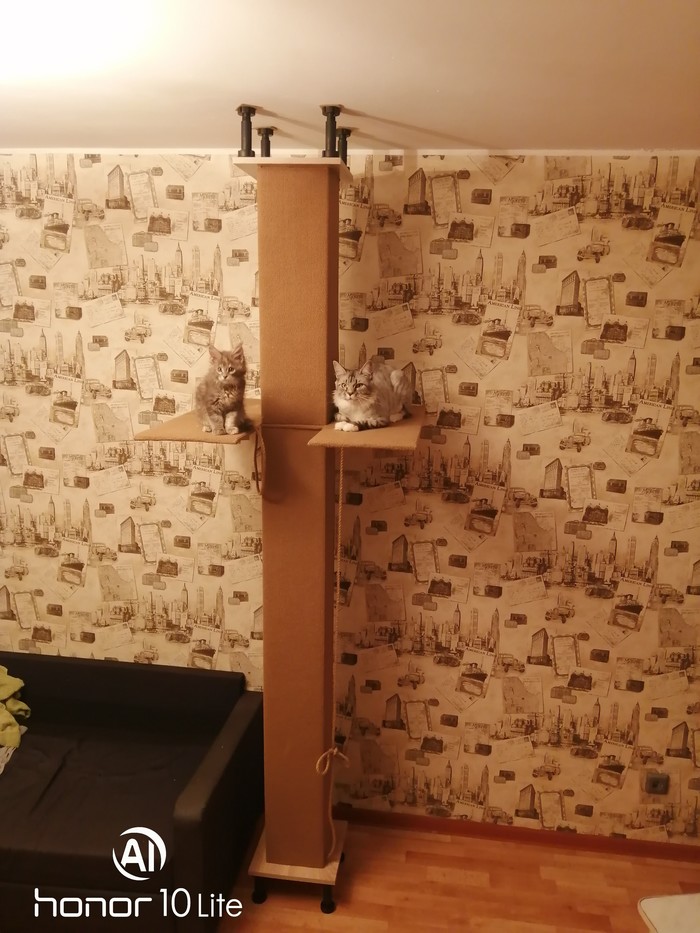 Когтеточка своими руками Когтеточка, Своими руками, Длиннопост