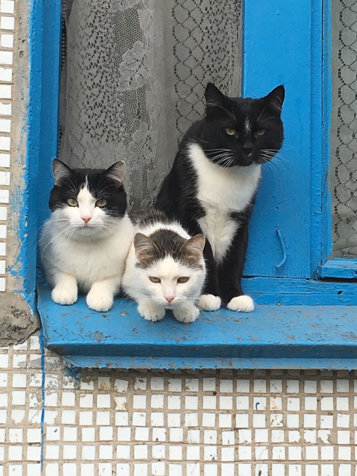 �������