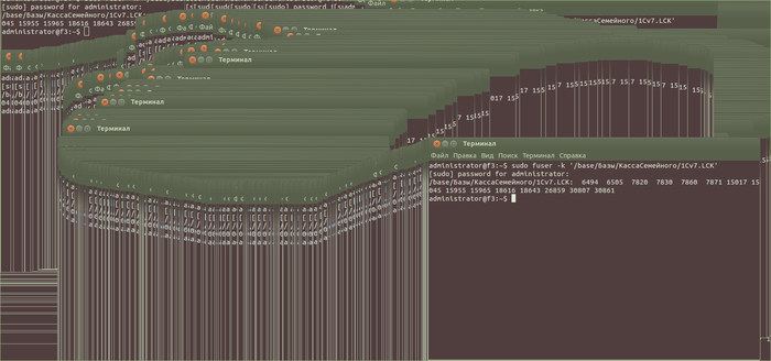  ubuntu   windows