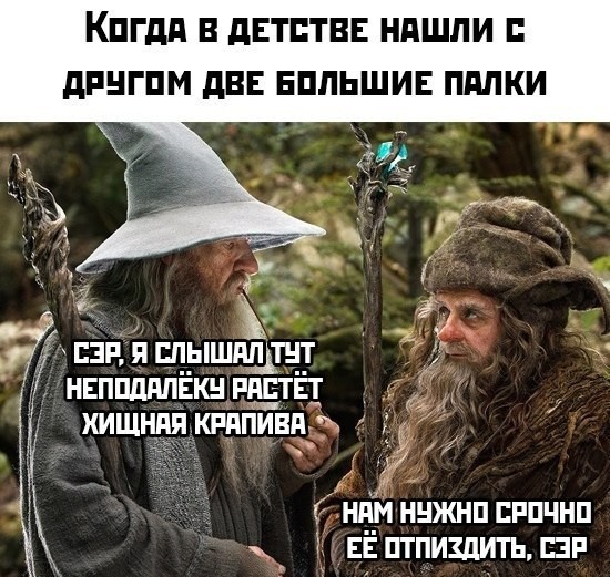Everyone had) - Humor, Mat, Nettle, Lord of the Rings, Childhood of the 90s