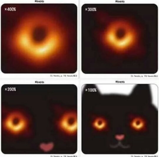 Black hole - Black hole, Humor, Big cats